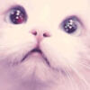 sarahendrick424